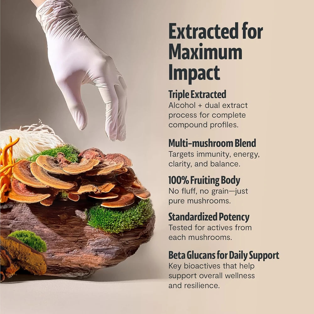 Organic Mushroom Complex Supplement Capsules